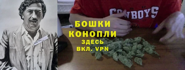 сатива Абаза